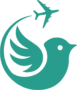 Elite Bird